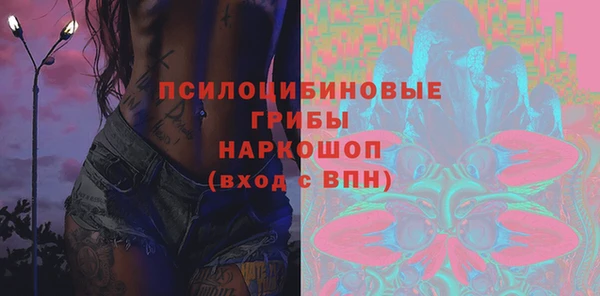 прущие грибы Балабаново