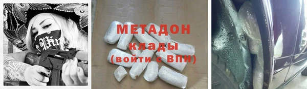 прущие грибы Балабаново