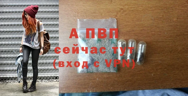 прущие грибы Балабаново
