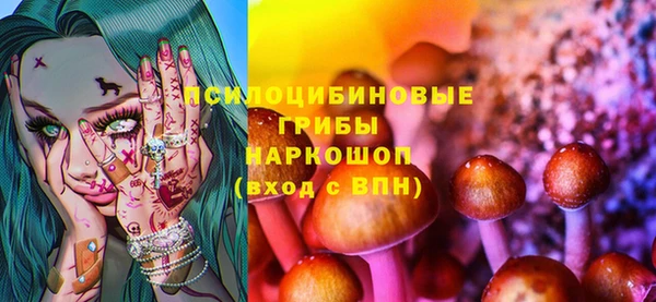 прущие грибы Балабаново