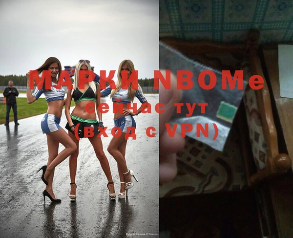 прущие грибы Балабаново