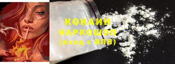 прущие грибы Балабаново